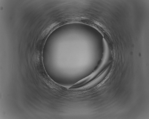 X0000073901161200608180951