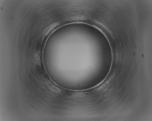 X0000073901162200608180951