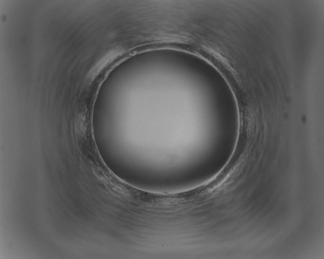 X0000073901163200608180951