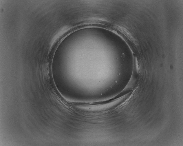 X0000073901164200608180951