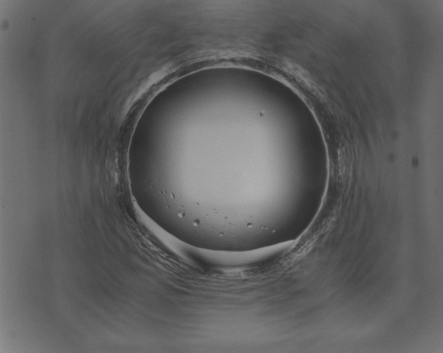 X0000073901165200608180951