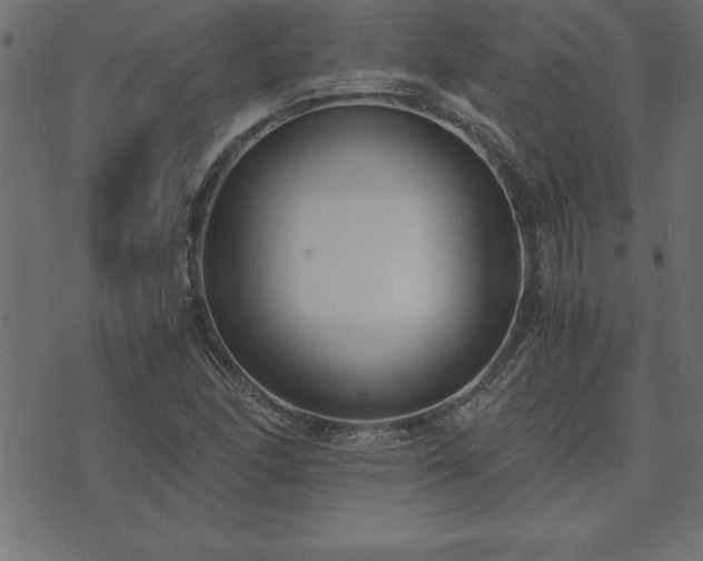 X0000073901166200608180951