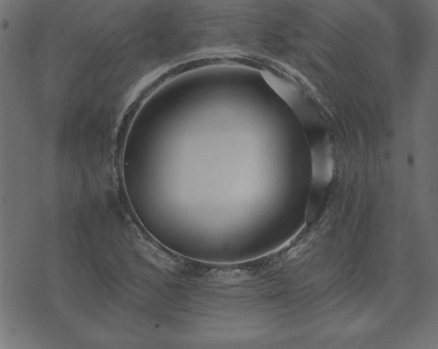 X0000073901168200608180951