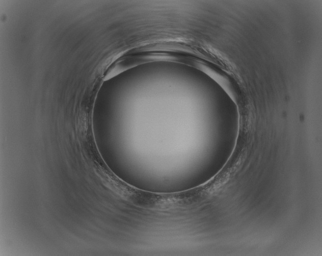 X0000073901169200608180951