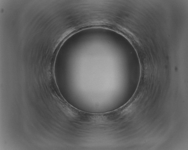 X0000073901170200608180951