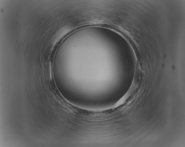 X0000073901171200608180951