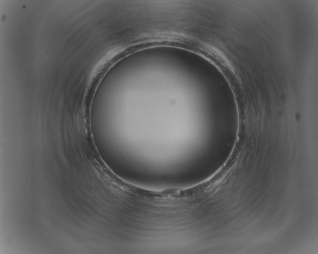 X0000073901172200608180951