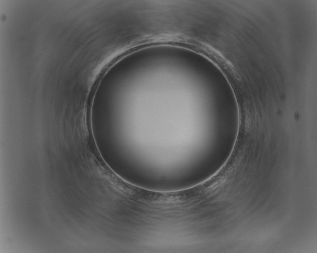 X0000073901174200608180951