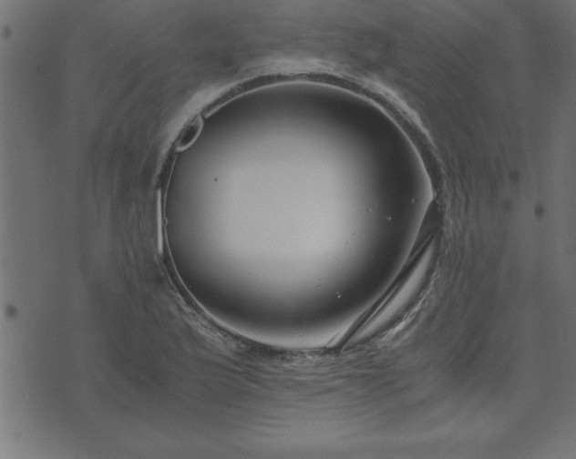 X0000073901175200608180951