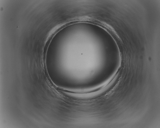 X0000073901176200608180951