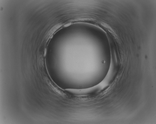 X0000073901177200608180951