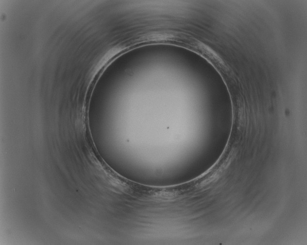 X0000073901178200608180951