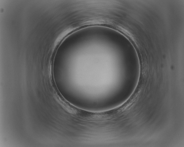 X0000073901179200608180951