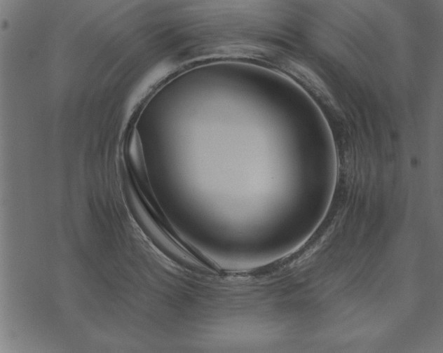 X0000073901180200608180951