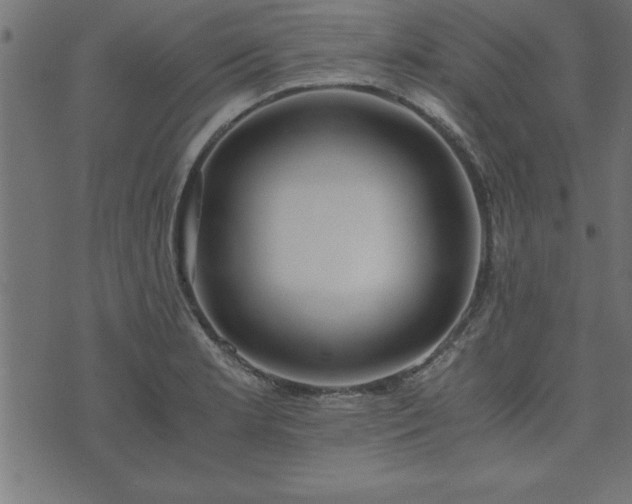 X0000073901181200608180951