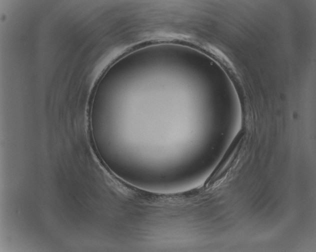 X0000073901183200608180951