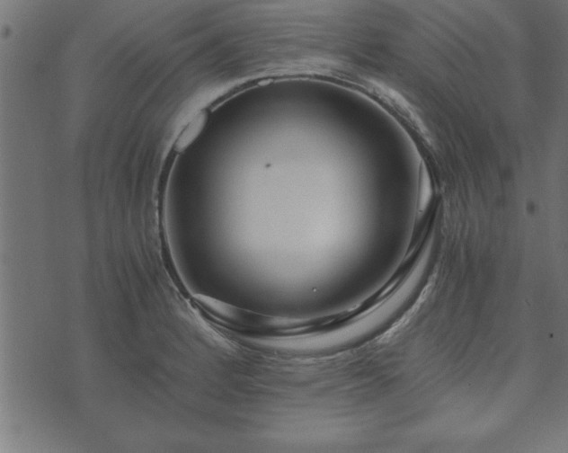 X0000073901184200608180951