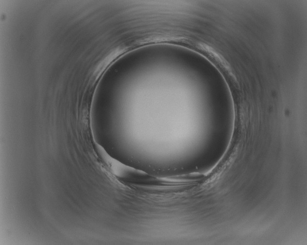 X0000073901185200608180951