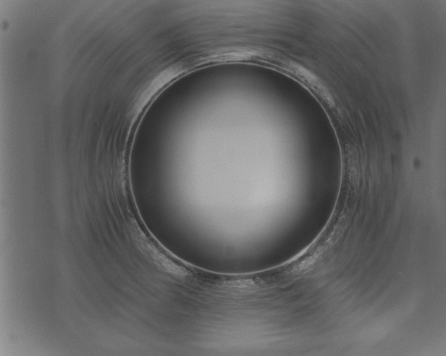 X0000073901186200608180951