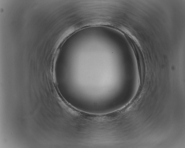 X0000073901189200608180951