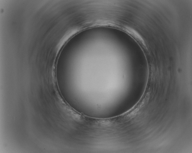 X0000073901190200608180951