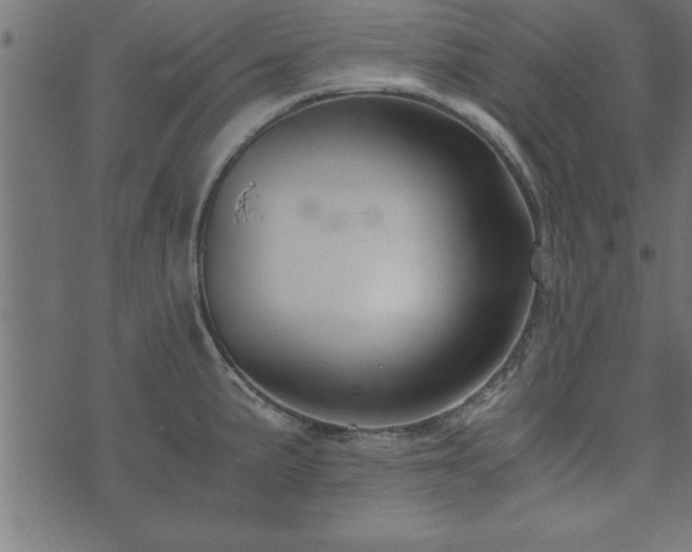 X0000073901191200608180951