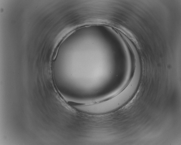 X0000073901192200608180951