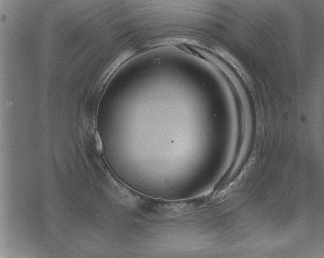 X0000073901193200608180951