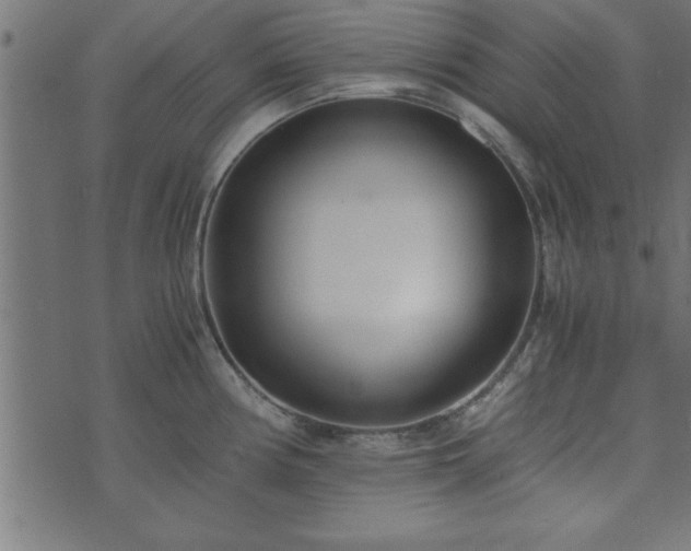 X0000073901194200608180951