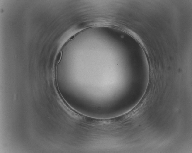 X0000073901195200608180951