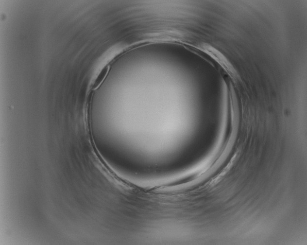 X0000073901196200608180951