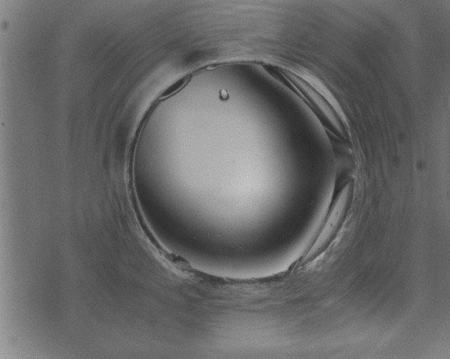 X0000073901197200608180951