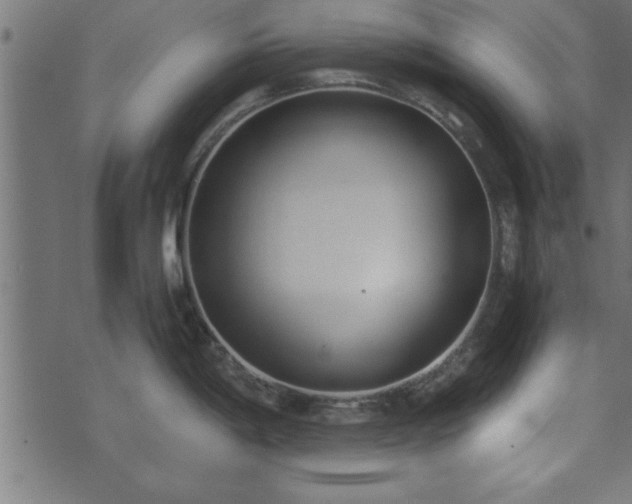 X0000073901198200608180951