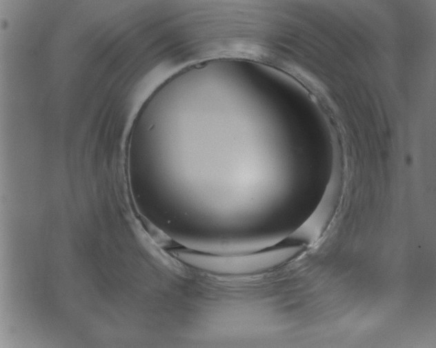 X0000073901200200608180951