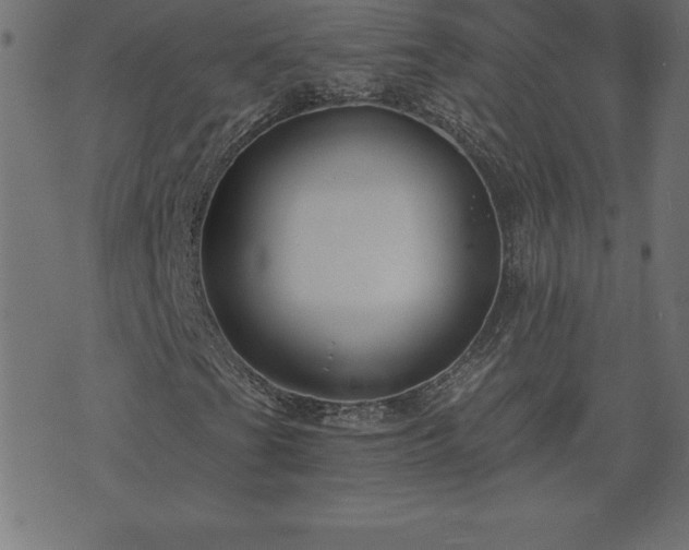 X0000073901201200608180950