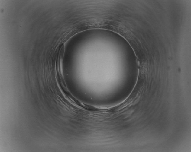 X0000073901202200608180950