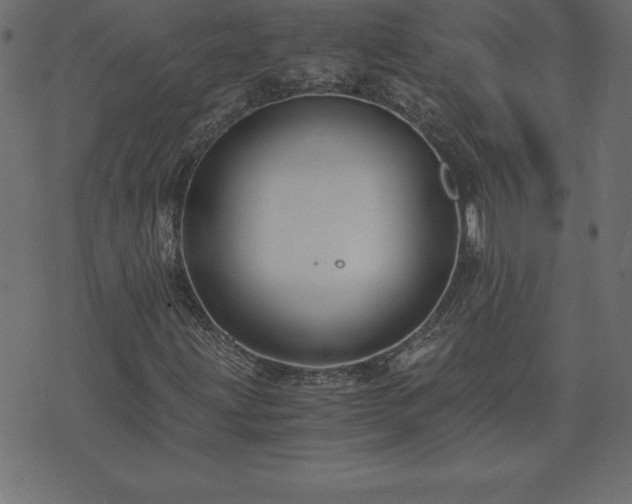 X0000073901203200608180950