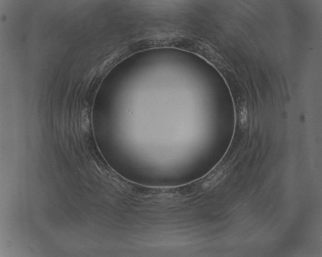 X0000073901204200608180950