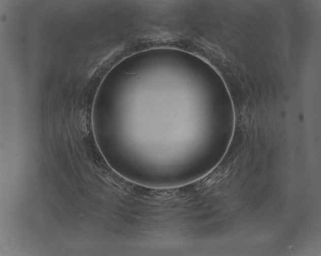 X0000073901205200608180950