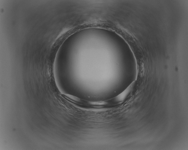 X0000073901206200608180950