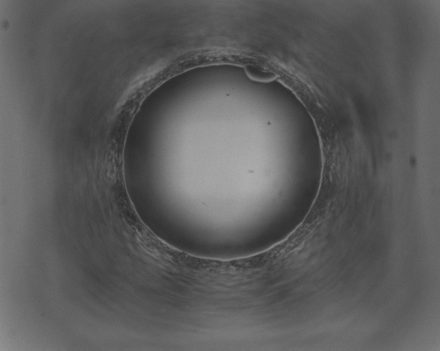 X0000073901207200608180950