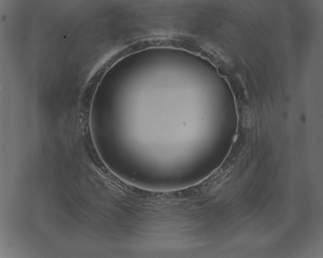 X0000073901208200608180950