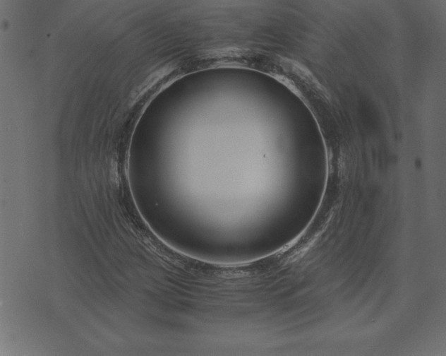 X0000073901209200608180950