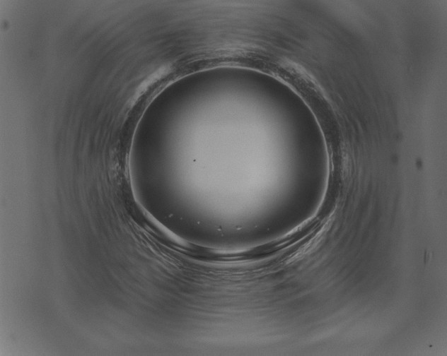 X0000073901210200608180950