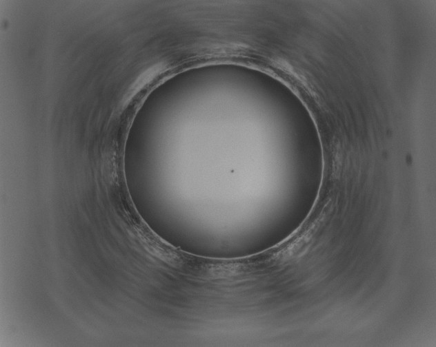 X0000073901211200608180950