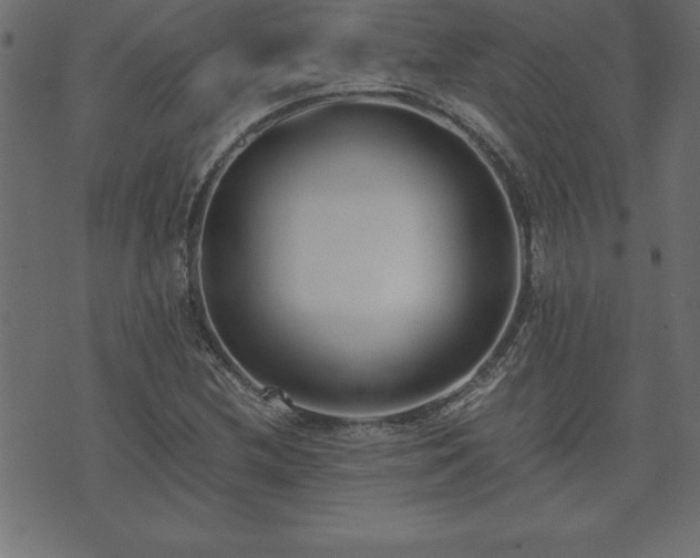 X0000073901212200608180950