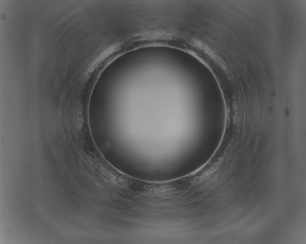 X0000073901213200608180950