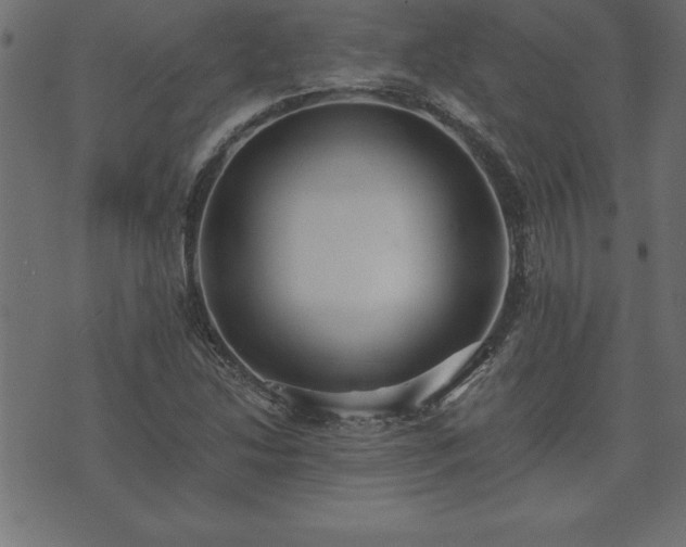 X0000073901214200608180950