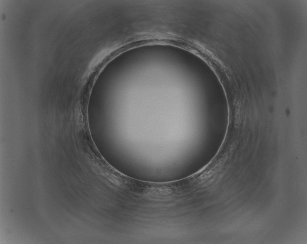 X0000073901215200608180950