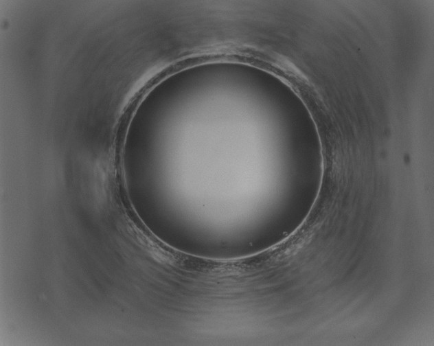 X0000073901216200608180950